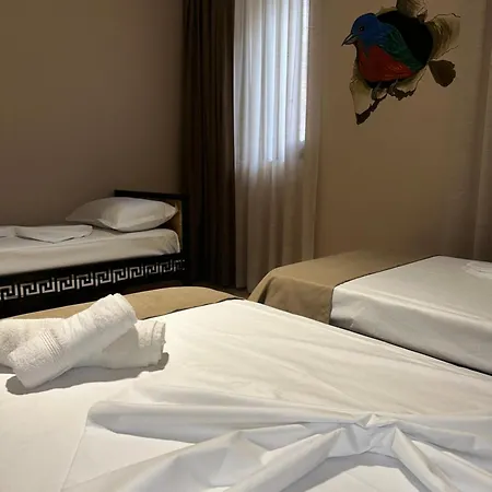 Auberge de jeunesse Birds *