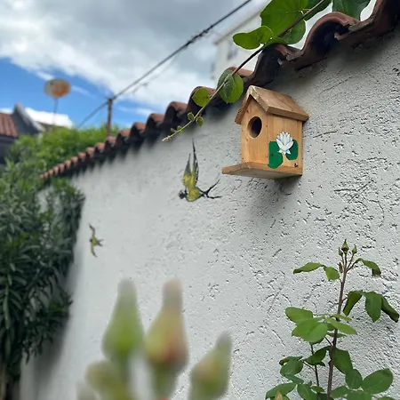 Birds Hostel Shkoder
