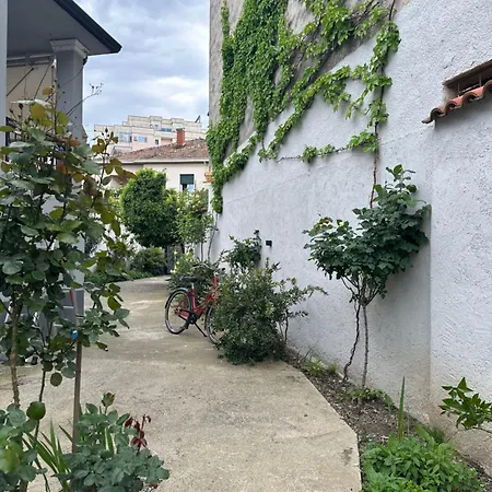 Auberge de jeunesse Birds