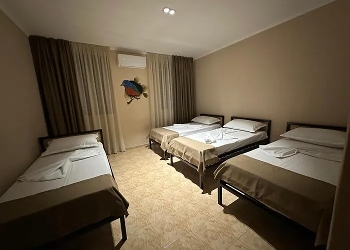 Birds Vandrerhjem Shkodër