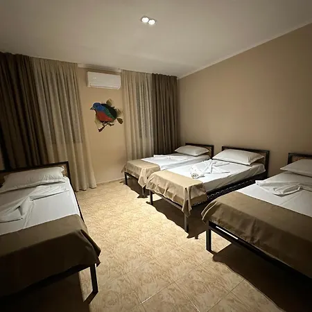 Birds Hostel Shkodër