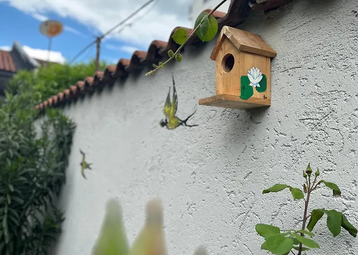 Birds Ostello Shkodër